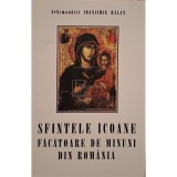 Ioanichie Balan - Sfintele icoane facatoare de minuni din Romania (Editia: 2004)