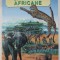 SAVANELE AFRICANE de CHRISTINA LONGMAN , ilustratii de FIAMMETTA DOGI , 2007