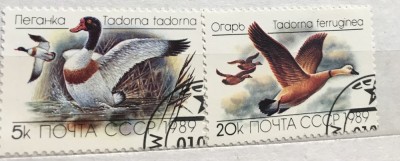 (B ) Timbre serii Straine Fauna Pasari CCCP foto