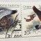 (B ) Timbre serii Straine Fauna Pasari CCCP
