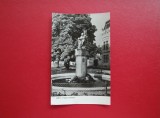 CARTE POSTALA - RPR - SIBIU - FANTANA ARTEZIANA
