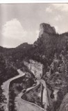 Serpentine in Cheile Bicazului (circulata 1966)