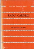 Radu Carneci - Sectiunea de dor (coperti cartonate)