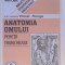 ANATOMIA OMULUI, PERETII TRUNCHIULUI de VIOREL RANGA.