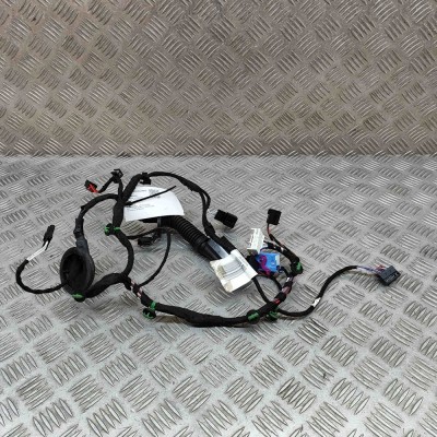 Cablaj ușă dreapta spate VW ID.5 E39 2022 OEM: TAB016298SR,4L0971841P,11A970404 23090025 foto