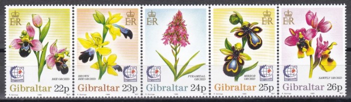 Gibraltar 1995 - Orhidee, Ștaif, MNH