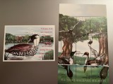 Maldives - Serie timbre pasari, fauna nestampilate MNH