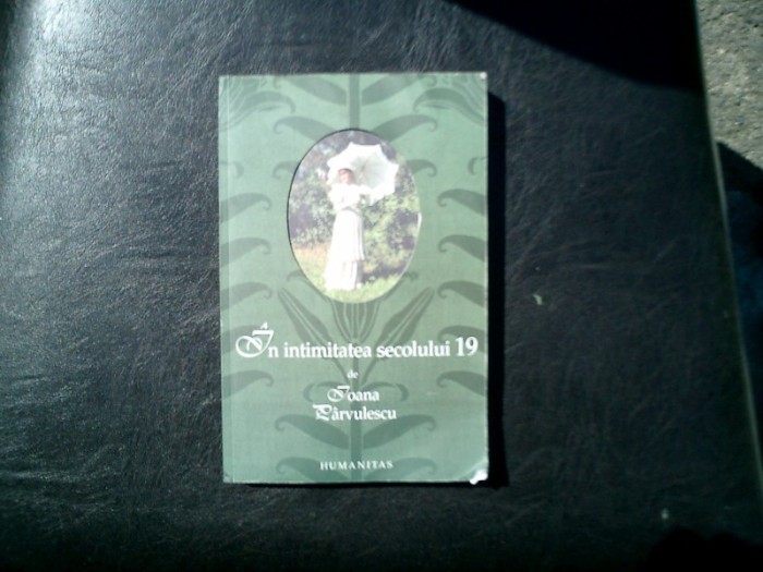 In intimitatea secolului 19 - Ioana Parvulescu