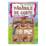 Sa invatam pasarile de curte. Carte de colorat
