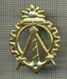 Y 1735 INSIGNA - MILITARA -SEMN DE ARMA -INGINER GENIU -PENTRU COLECTIONARI