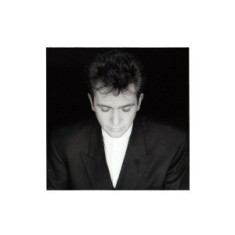 Peter Gabriel Shaking The Tree Best Of reissue (cd)