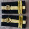 C2 8 - Grade militare - locotenent colonel geniu