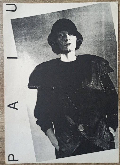 Pliant prezentare artist Carmen Paiu