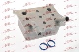 Radiator ulei RAM 1500, 2500, 3500 202019; garnituri incluse, fara suport, dimensiuni [mm] 110x155x45; 52014750AA; 52014750AB; 52014750AC;