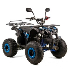 Atv copii XTR 006 Phyton, roti 8 inch, 125cc, 4 timpi, 3+1, pornire electrica, c... Cod Produs: MX_NEW XTR-006/83/1-3