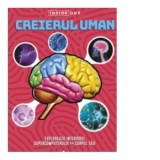 Creierul uman. Model 3D