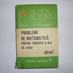 Probleme De Matematica Pentru Treapta A Ii-a De Liceu Siruri - D. M. Batinetu ,551554