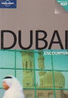 Dubai encounter foto