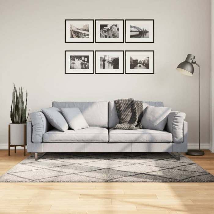 vidaXL Covor pufos cu fire &icirc;nalte, bej și antracit modern, 120x170 cm