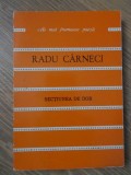 Un Spatiu de Dor - Radu Carnei - Poezii, Editura Albatros 1980, 160 pagini