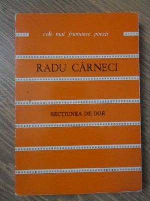 UN SPATIU DE DOR-RADU CARNECI-234181 foto