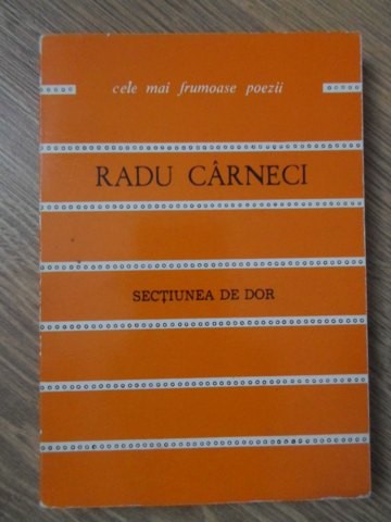 UN SPATIU DE DOR-RADU CARNECI-234181