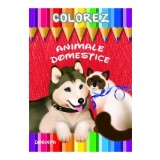 Colorez: Animale domestice