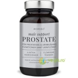 Male Support Prostate 120cps