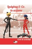 Ladybug and Co in actiune. Carte de activitati