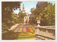 bnk cp Arad - Vedere din parc- necirculata