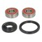 Kit Rulmenti Roata HONDA CRF FX NX SLR XL XR XRV 230-650 1983-2009