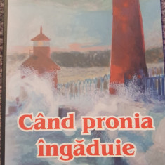 Cand pronia ingaduie, Oma Stanescu, 2012, 114 pagini, stare f buna