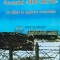Acuzatul Zek-18376. Un Sfant in lagarele comuniste - 2001 - Arsenie (N195)