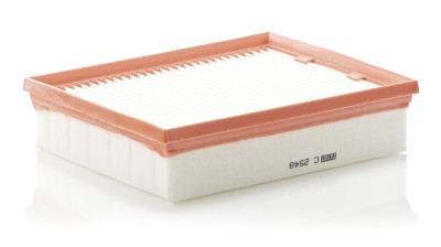 MANN-FILTER C 2548 Filtru aer foto