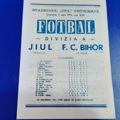 program Jiul - FC Bihor