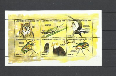 MOZAMBIC 1999 FAUNA PASARI SI INSECTE foto