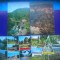 HOPCT LOT 4077 -4 CARTI POSTALE-OLANESTI -JUD VALCEA-NECIRCULATE