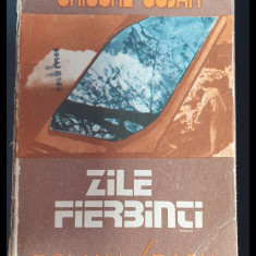 Zile fierbinti, Grigore Cojan, ed Dacia, 1986