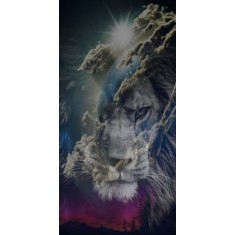 Husa Personalizata LENOVO K8 Plus Lions Planet