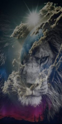 Husa Personalizata APPLE iPhone 7 Plus \ 8 Plus Lions Planet foto
