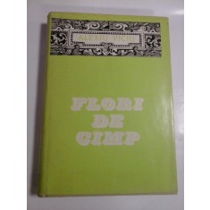 FLORI DE CIMP - ALEXIU VICIU