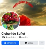 Pagina de facebook