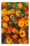 Tablou Canvas Rapsodie Vibrantă &icirc;n Grădina Timpului, 26 x 39 cm, CMCLASS
