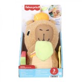 FISHER PRICE JUCARIE SENZORIALA CAPIBARA, Mattel