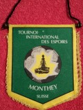 Fanion fotbal - Turneul International de fotbal Juniori - MONTHEY (Elvetia)