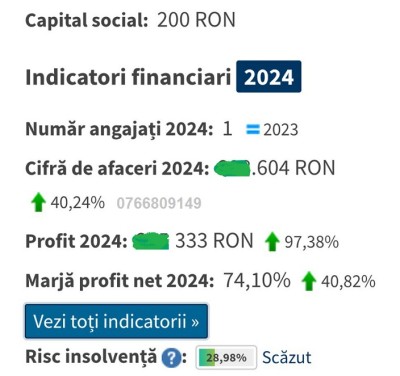 V&amp;acirc;nd afacere profit net extraordinar foto