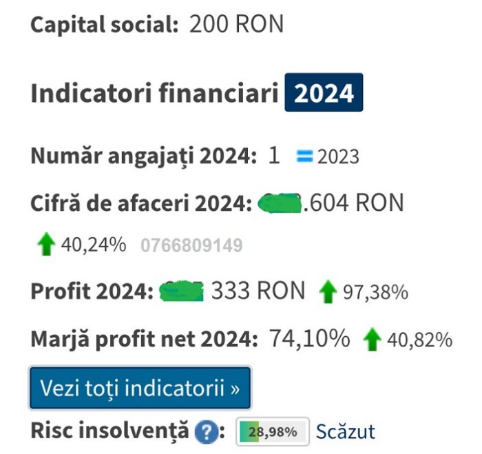 V&acirc;nd afacere profit net extraordinar