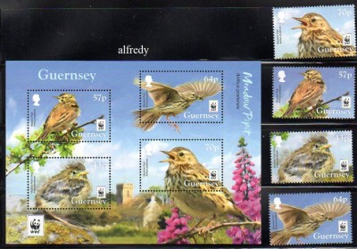 Guernsey 2017, Fauna, Pasari, MNH foto