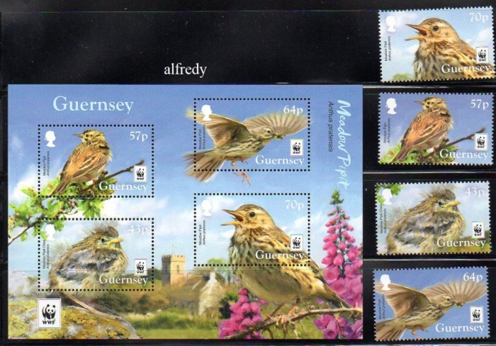 Guernsey 2017, Fauna, Pasari, MNH