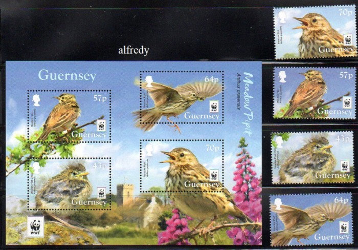 Guernsey 2017, Fauna, Pasari, MNH